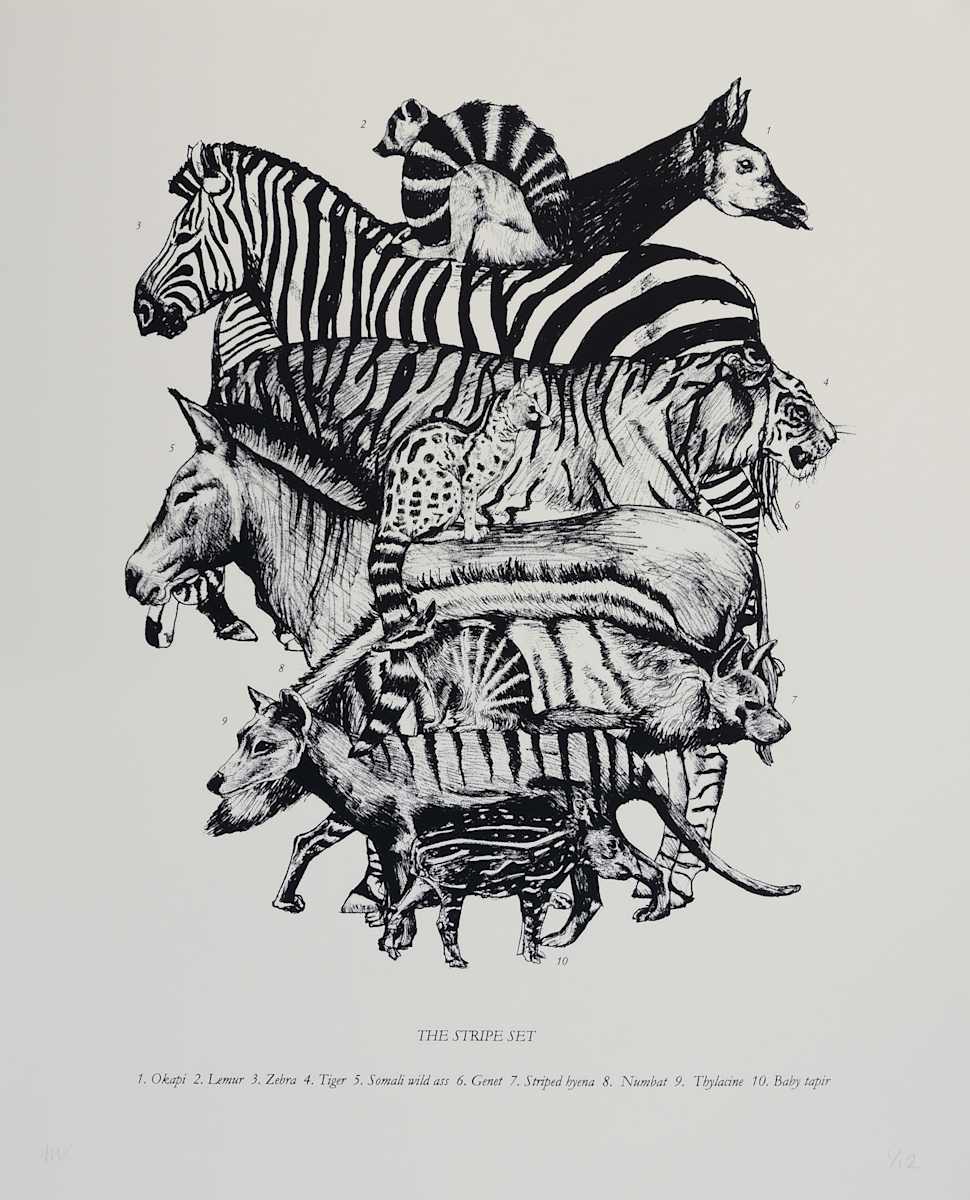 The Stripe Set by Anna Walsh, Image 1.