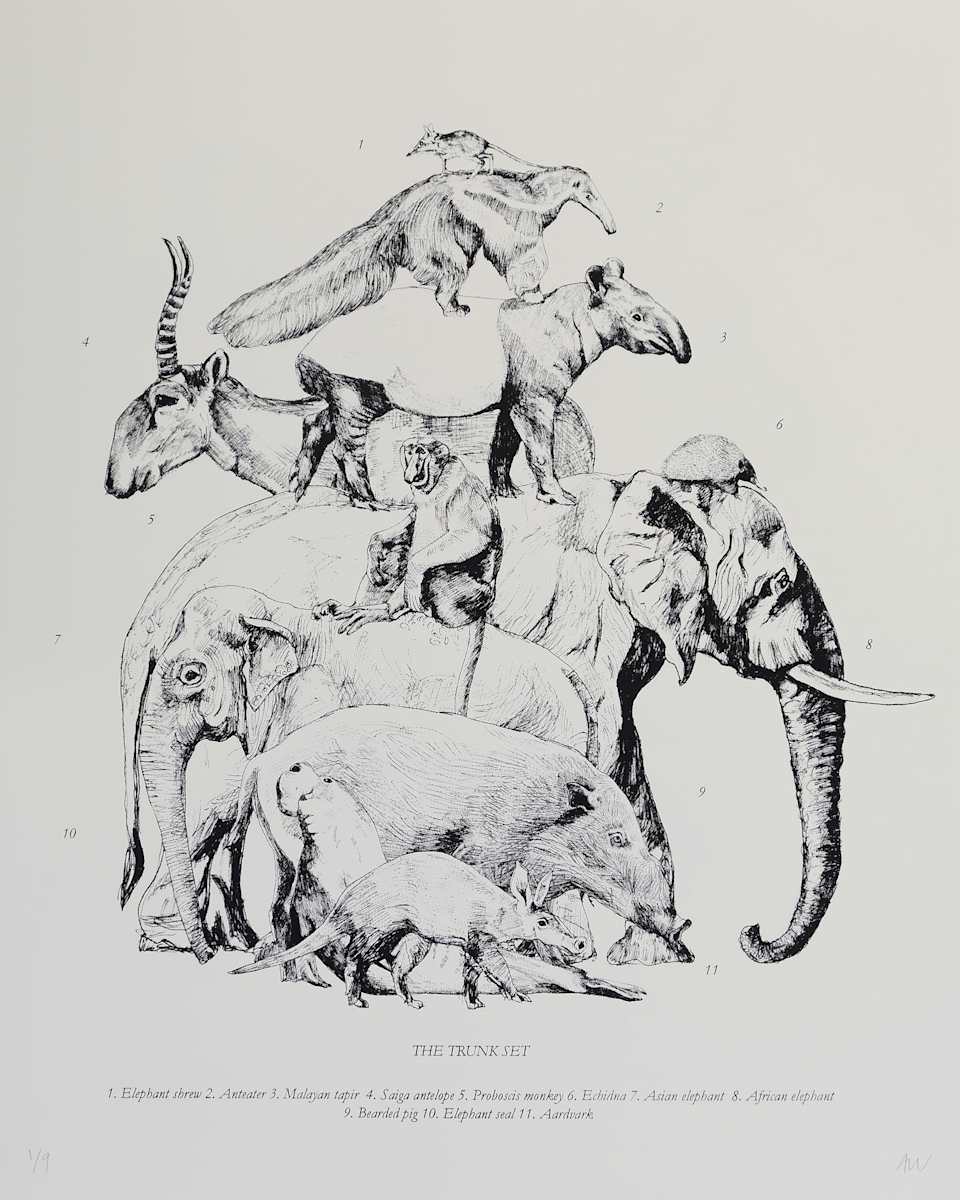 The Trunk Set by Anna Walsh, Image 1.