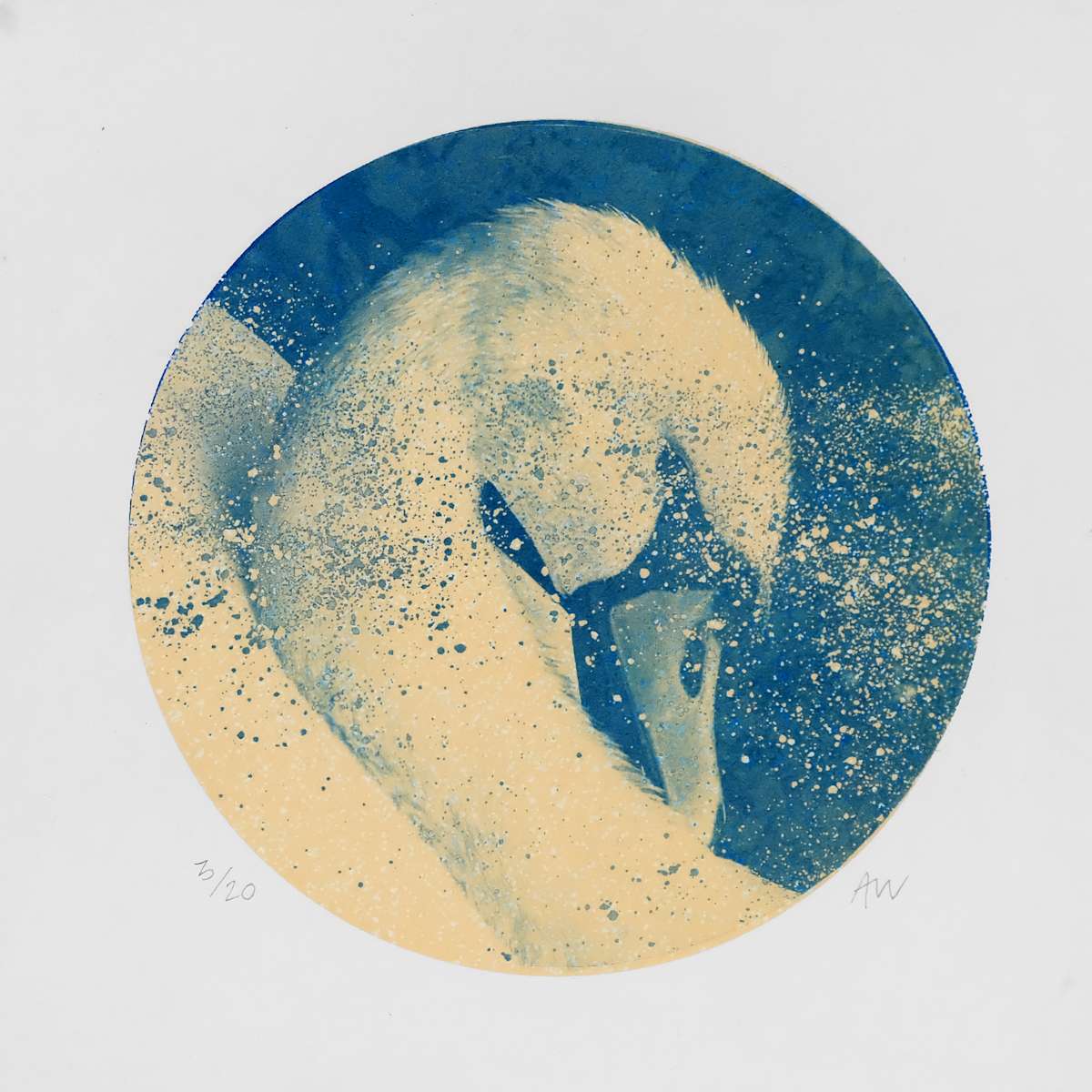 Alpha Cygni Variable A (Small) by Anna Walsh, Image 1.