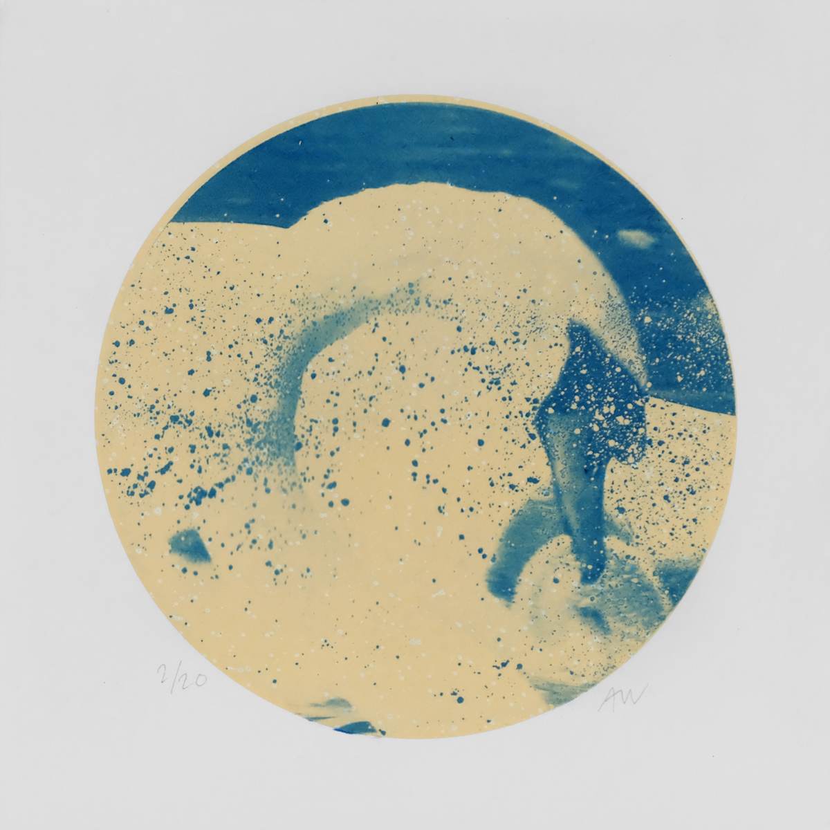 Alpha Cygni Variable B (Small) by Anna Walsh, Image 1.