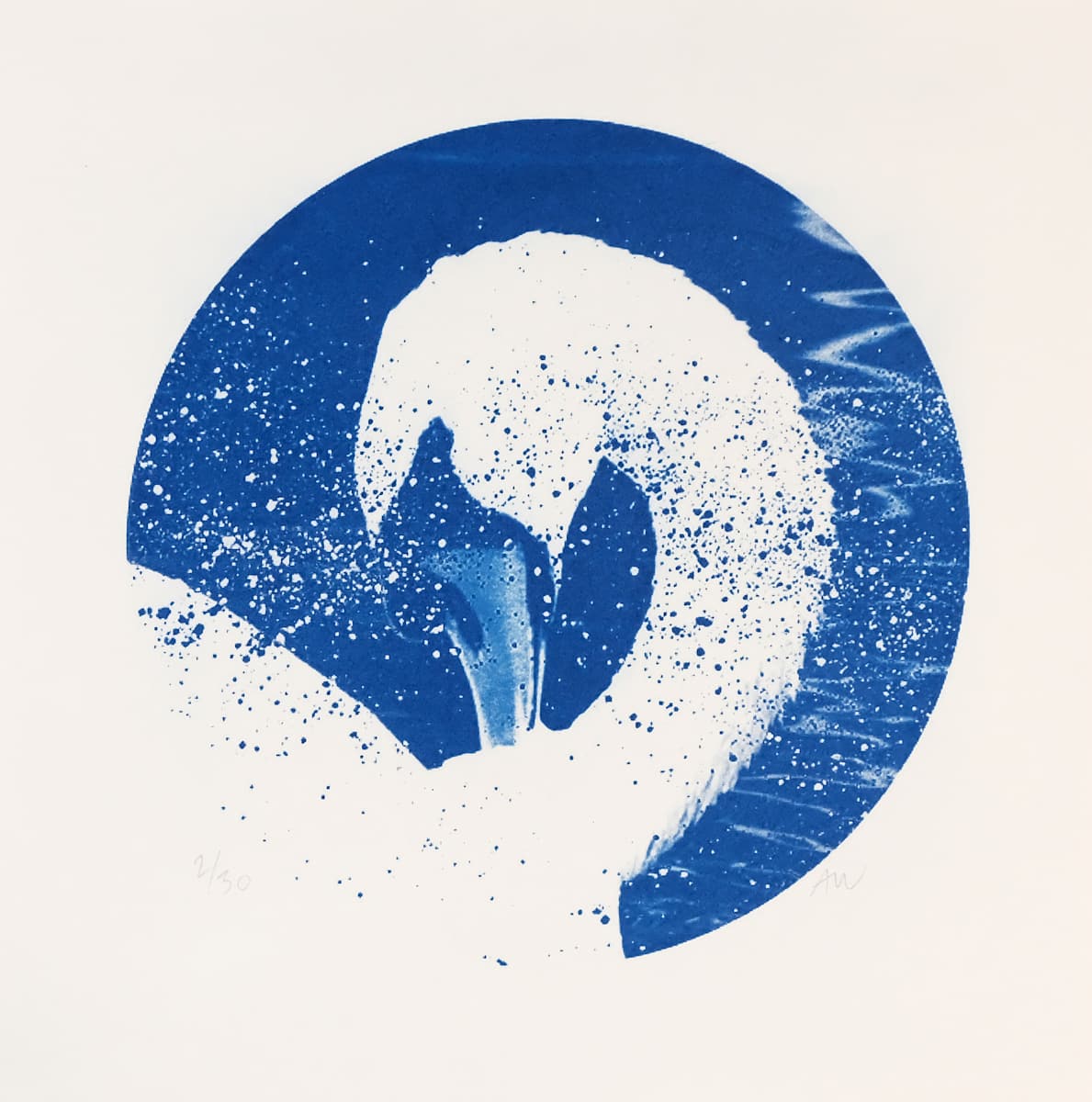 Alpha Cygni Variable C (Small Blue) by Anna Walsh, Image 1.
