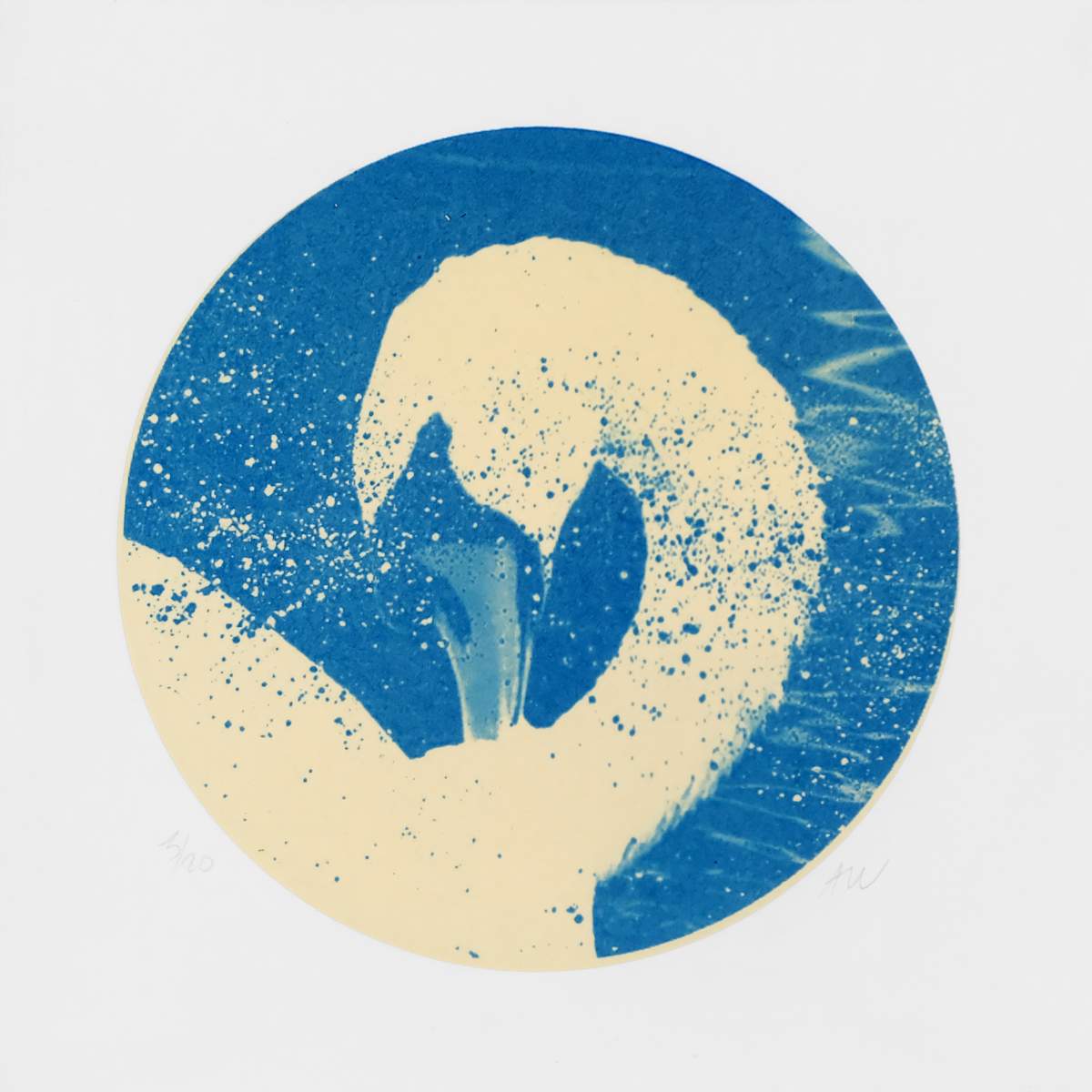 Alpha Cygni Variable C (Small) by Anna Walsh, Image 1.