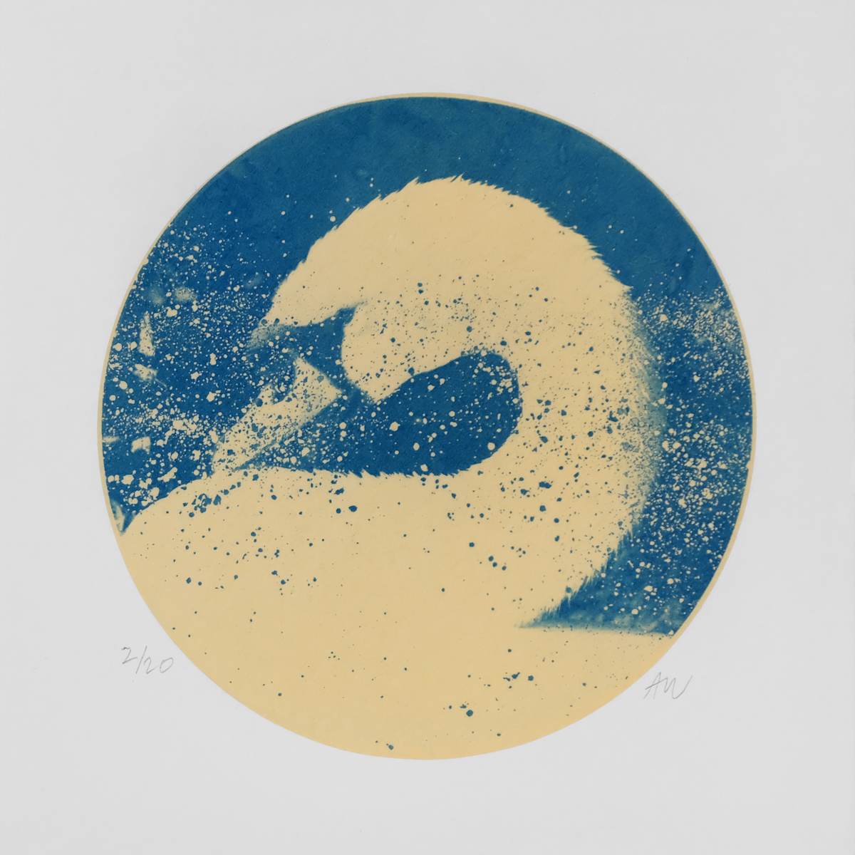 Alpha Cygni Variable D (Small) by Anna Walsh, Image 1.