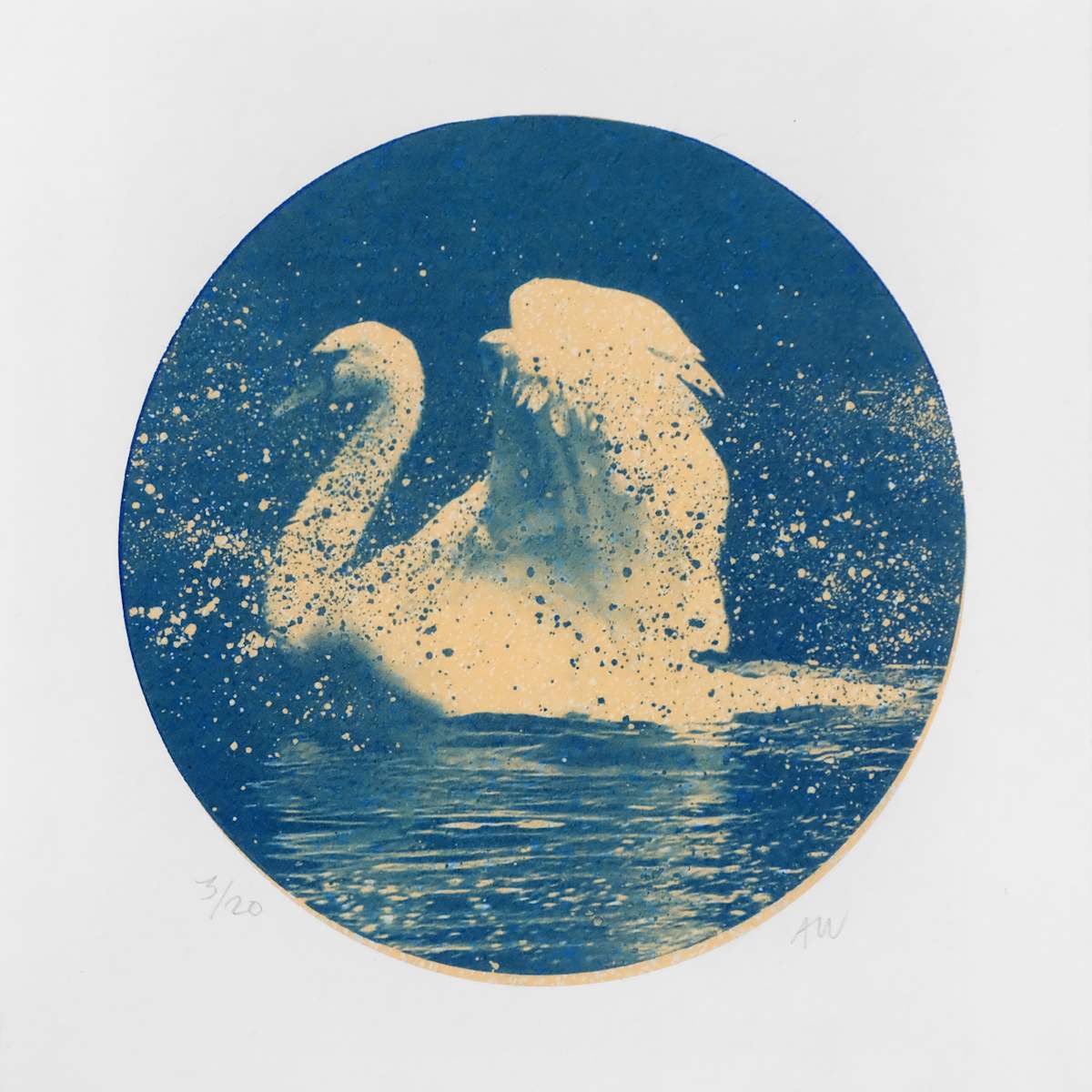 Alpha Cygni Variable E (Small) by Anna Walsh, Image 1.