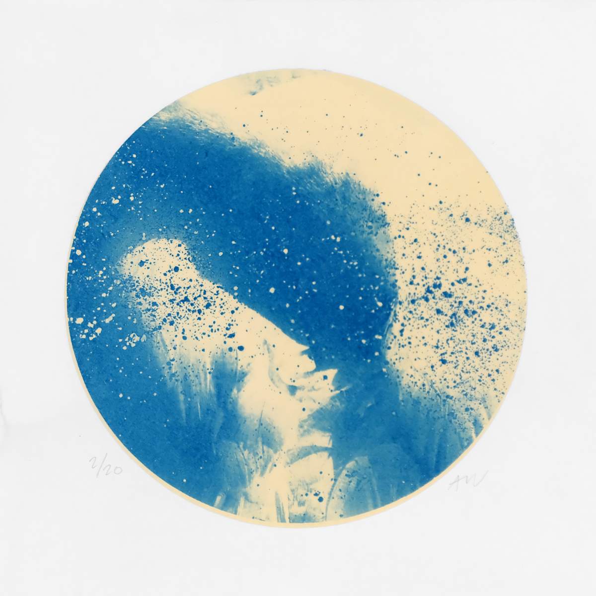 Alpha Cygni Variable F (Small) by Anna Walsh, Image 1.