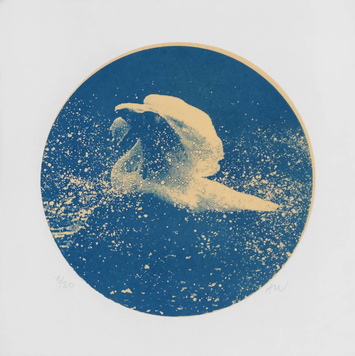 Alpha Cygni Variable G (Small) by Anna Walsh, Image 1.