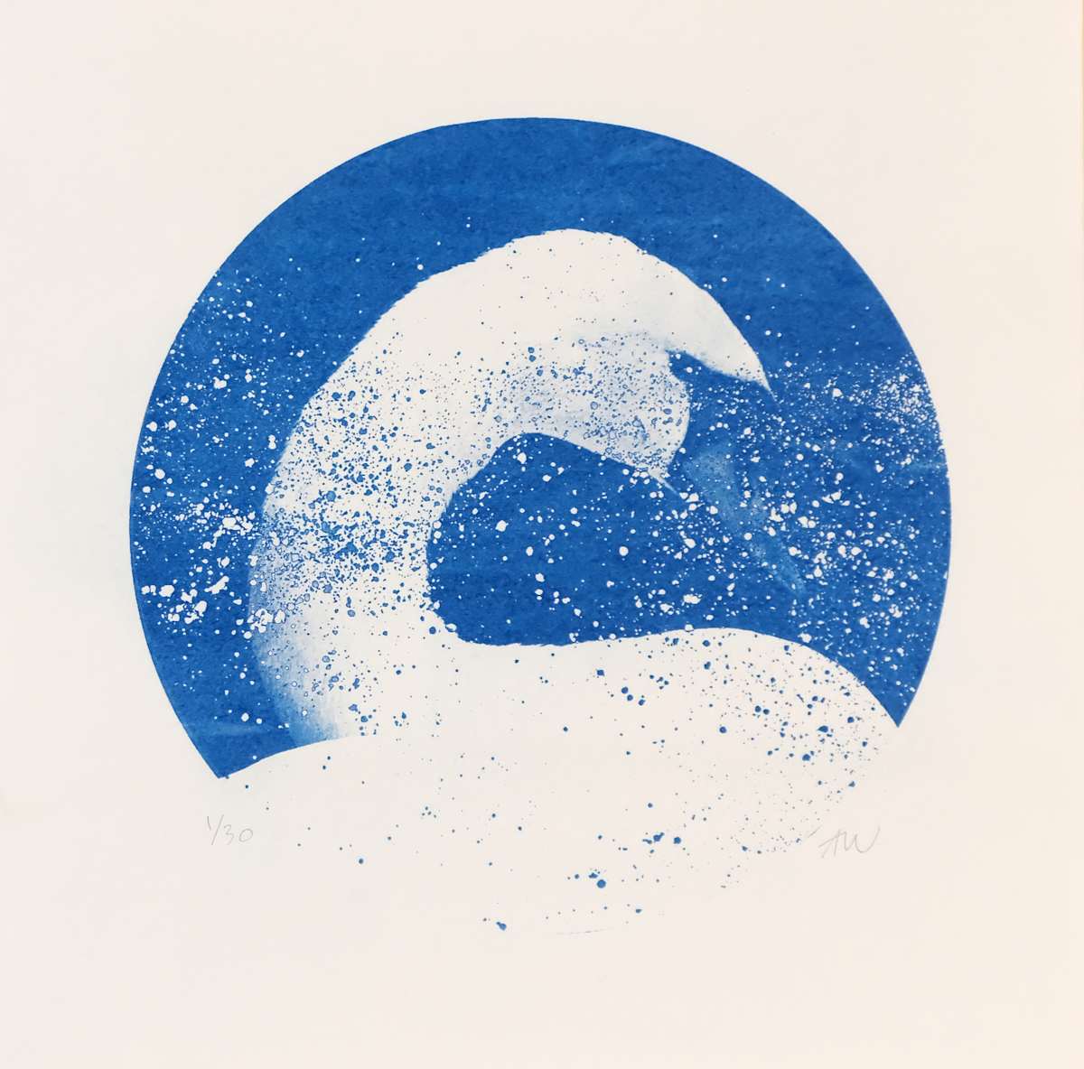 Alpha Cygn iVariable J (SmallBlue) by Anna Walsh, Image 1.