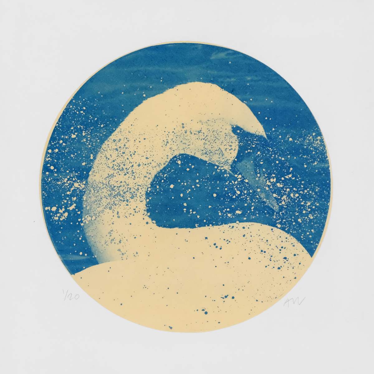 Alpha Cygni Variable I (Small) by Anna Walsh, Image 1.