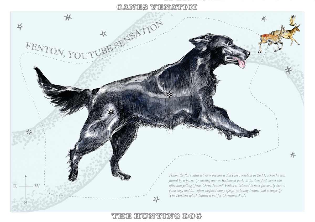 Canes Venatici (Hunting Dog) by Anna Walsh, Image 16.