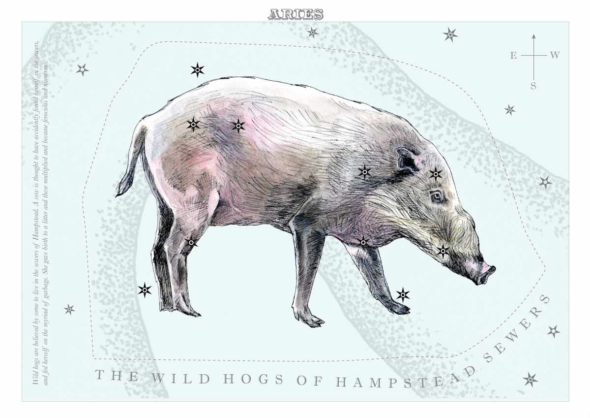 Aries (Ram) by Anna Walsh, Image 1.