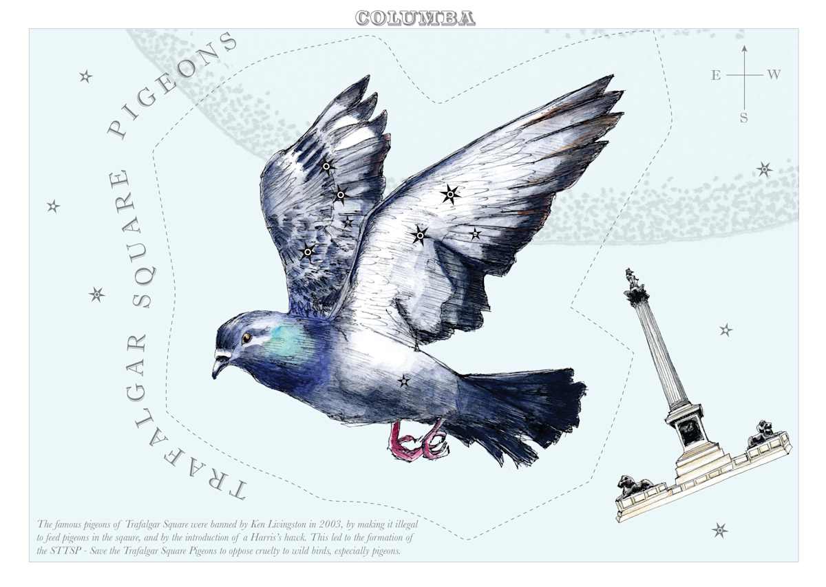 Columba (Dove) by Anna Walsh, Image 8.
