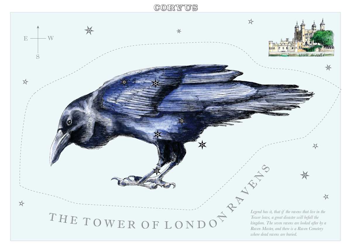 Corvus (Crow) by Anna Walsh, Image 5.