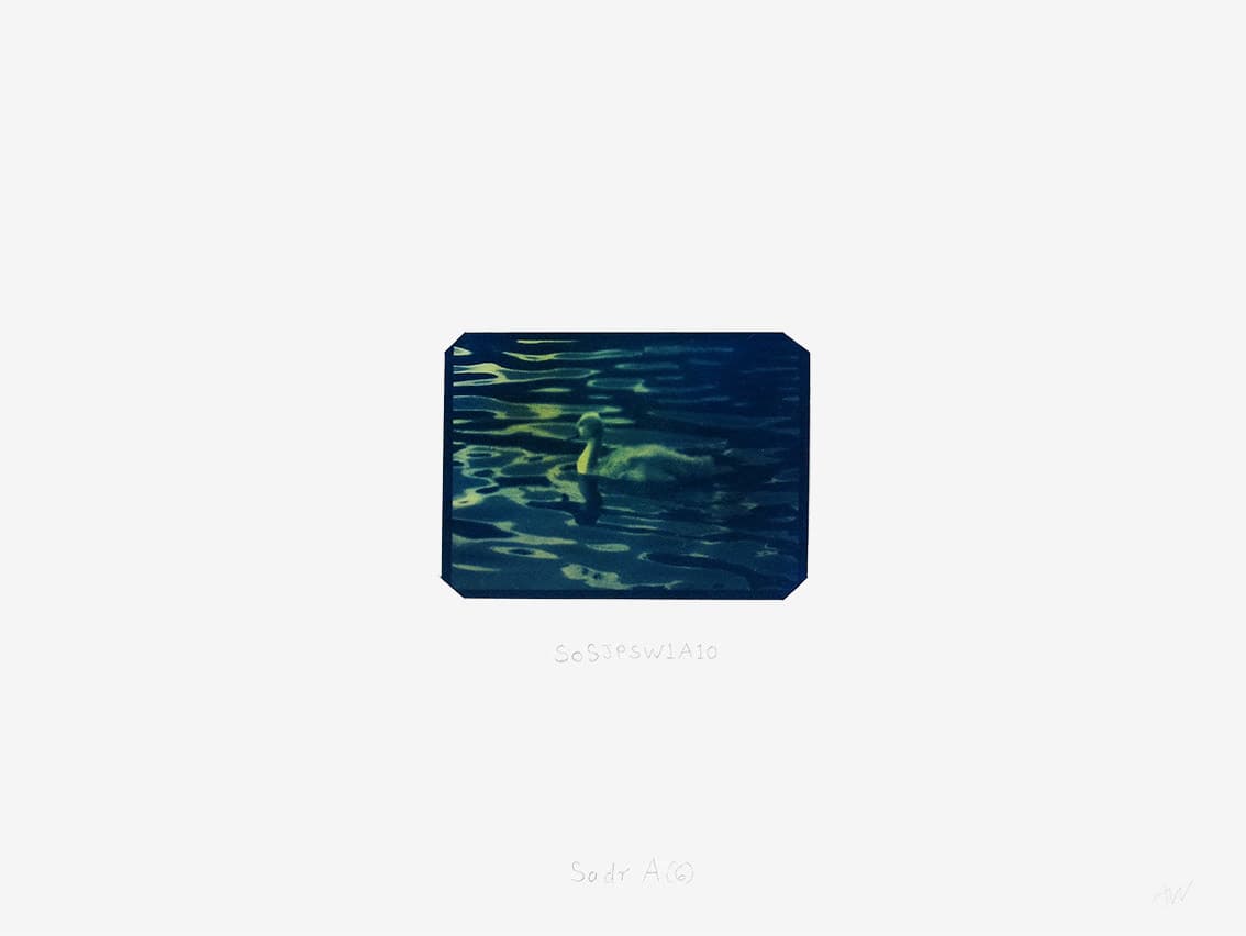 Cygnus Suite -Sadr A (6) by Anna Walsh, Image 1.