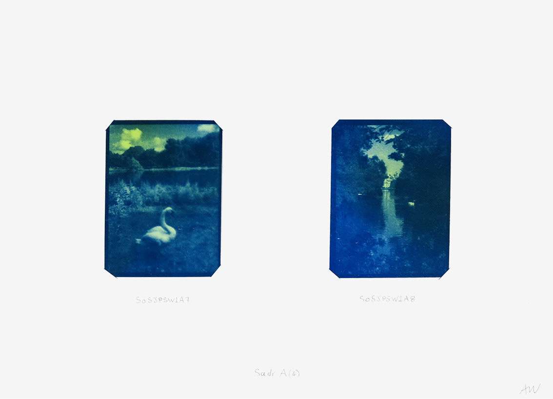 Cygnus Suite -Sadr A (4) by Anna Walsh, Image 1.