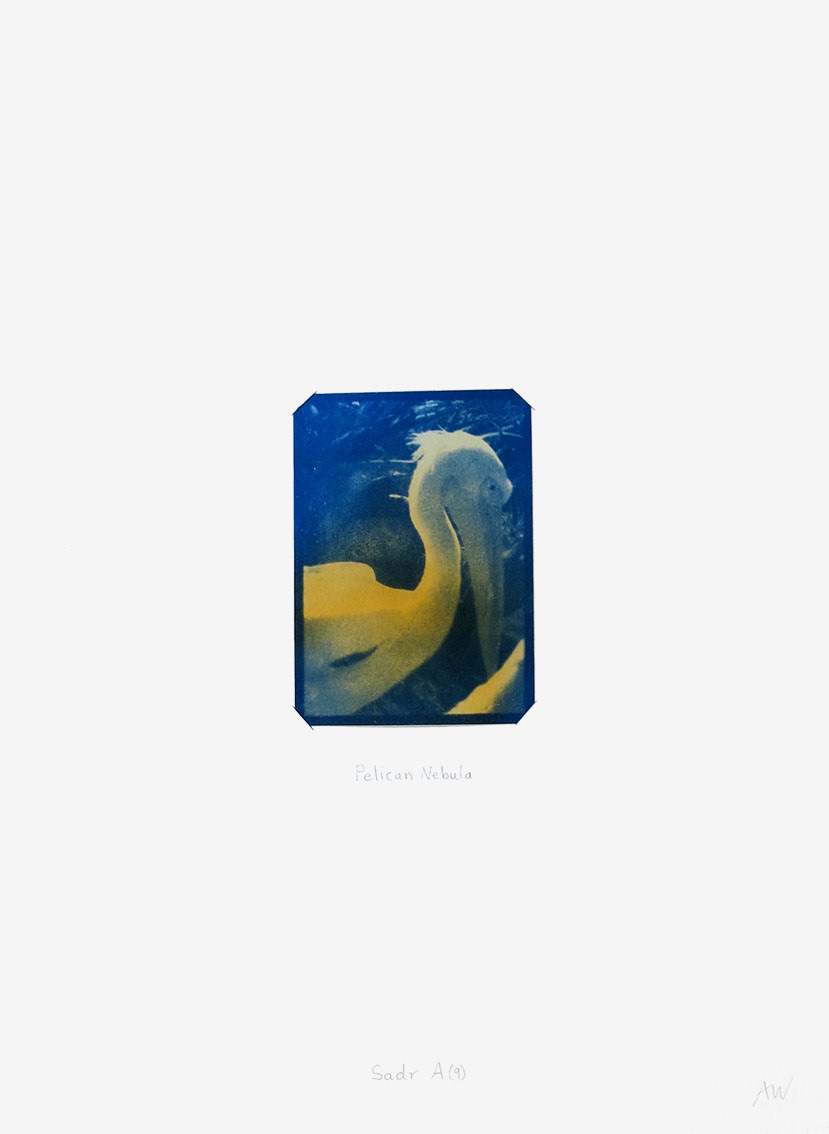 Cygnus Suite -Sadr A (9) by Anna Walsh, Image 1.