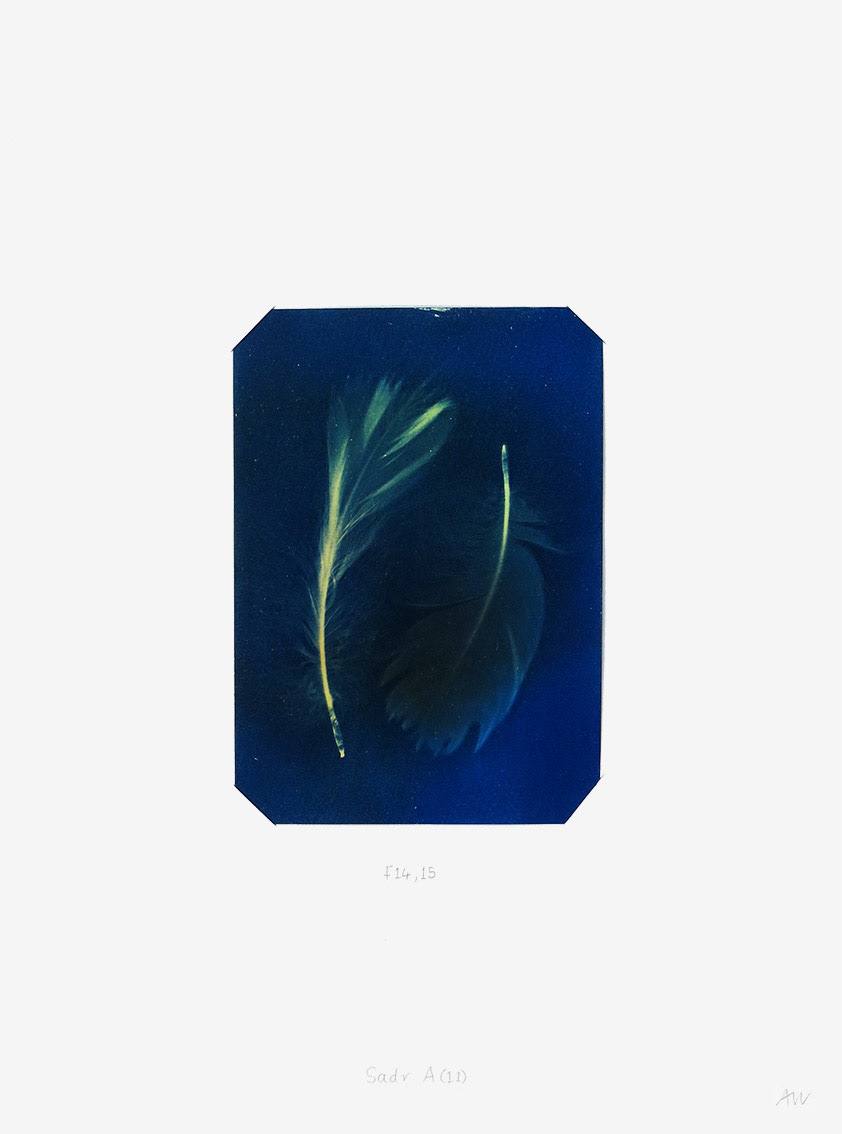 Cygnus Suite - Sadr A (11) by Anna Walsh, Image 1.