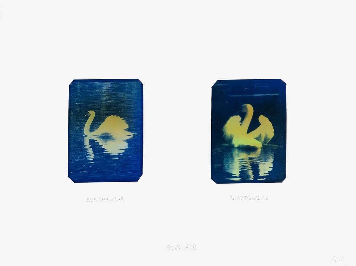 Cygnus Suite -Sadr A (3) by Anna Walsh, Image 1.
