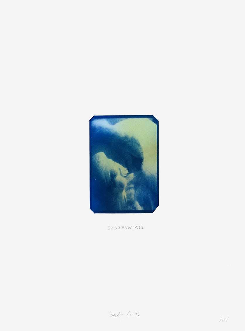 Cygnus Suite -Sadr A (7) by Anna Walsh, Image 1.