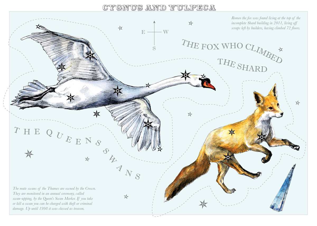 Swan by Anna Walsh, Image 7.