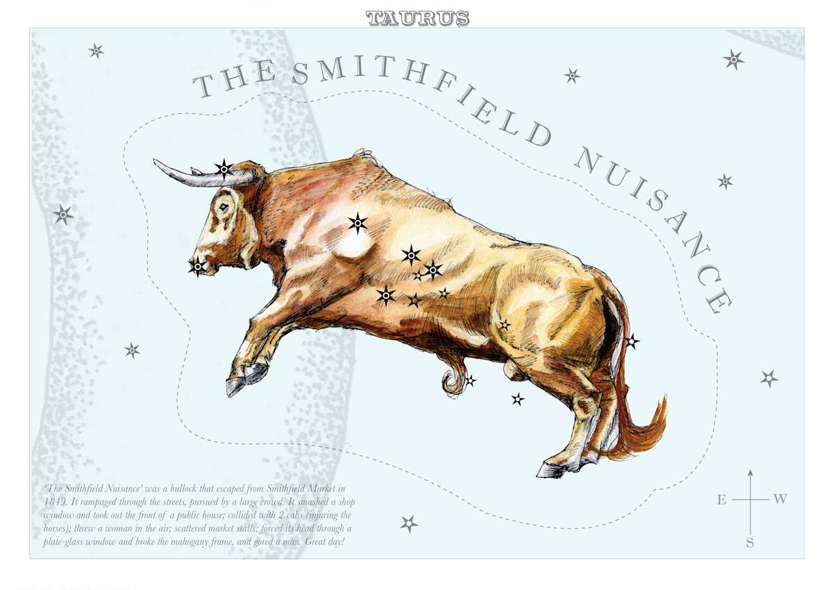 Taurus (Bull) by Anna Walsh, Image 3.