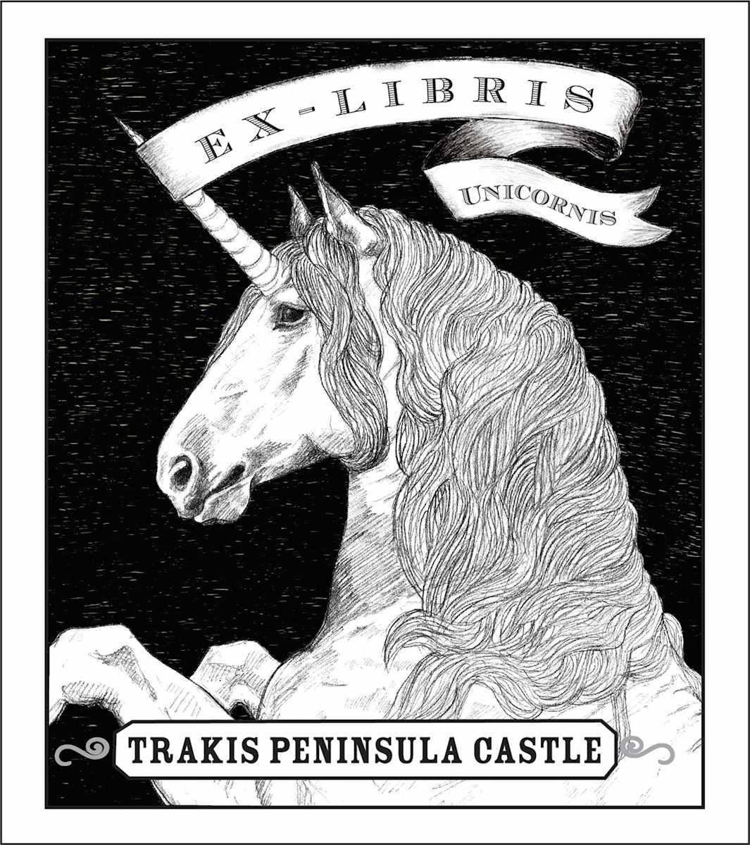 Trakai Castle Ex-Libris by Anna Walsh, Image 1.