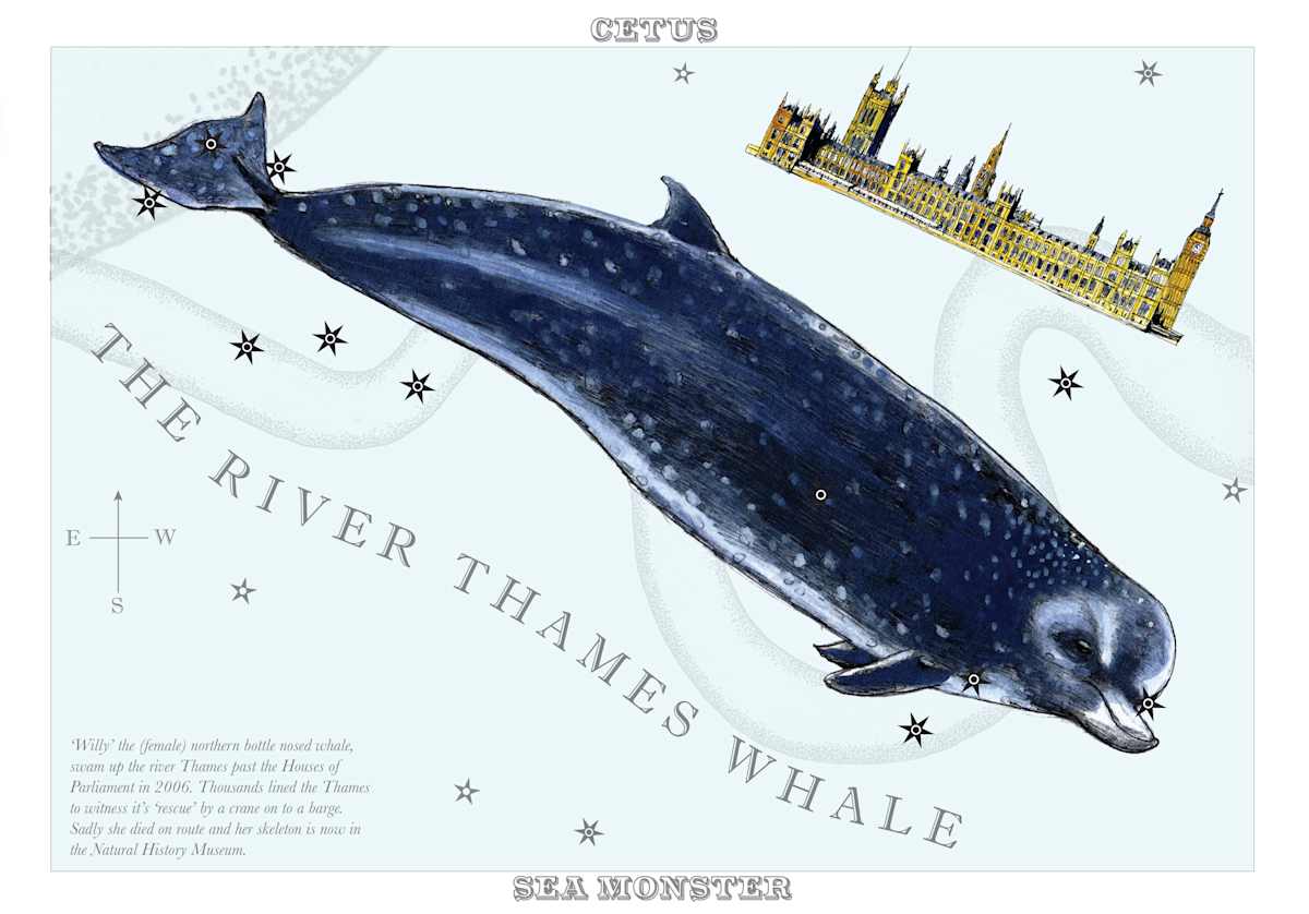 Cetus (Sea Monster) by Anna Walsh, Image 4.