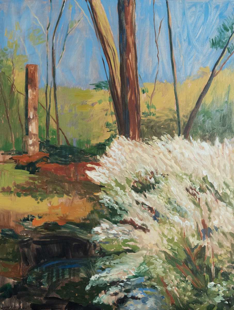 Abandoned by Patricia Pardini, Image 1.