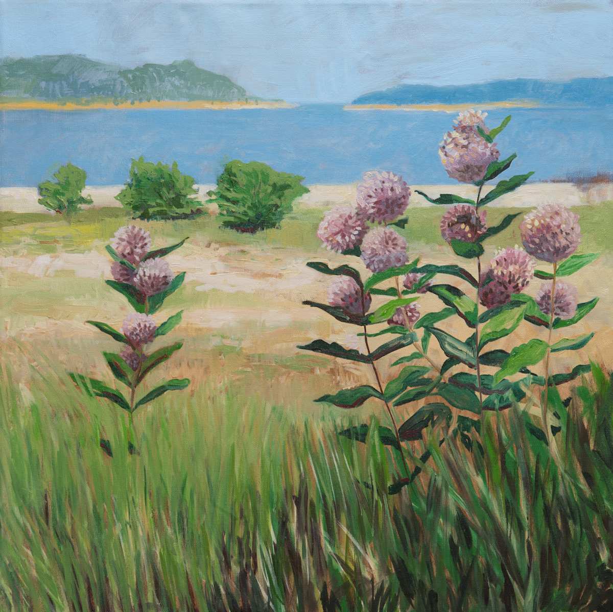 Milkweed by Patricia Pardini, Image 1.