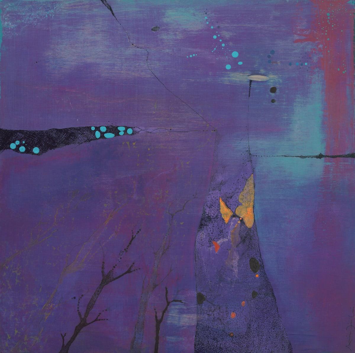 Butterfly Night by Andreina Davila, Image 1.