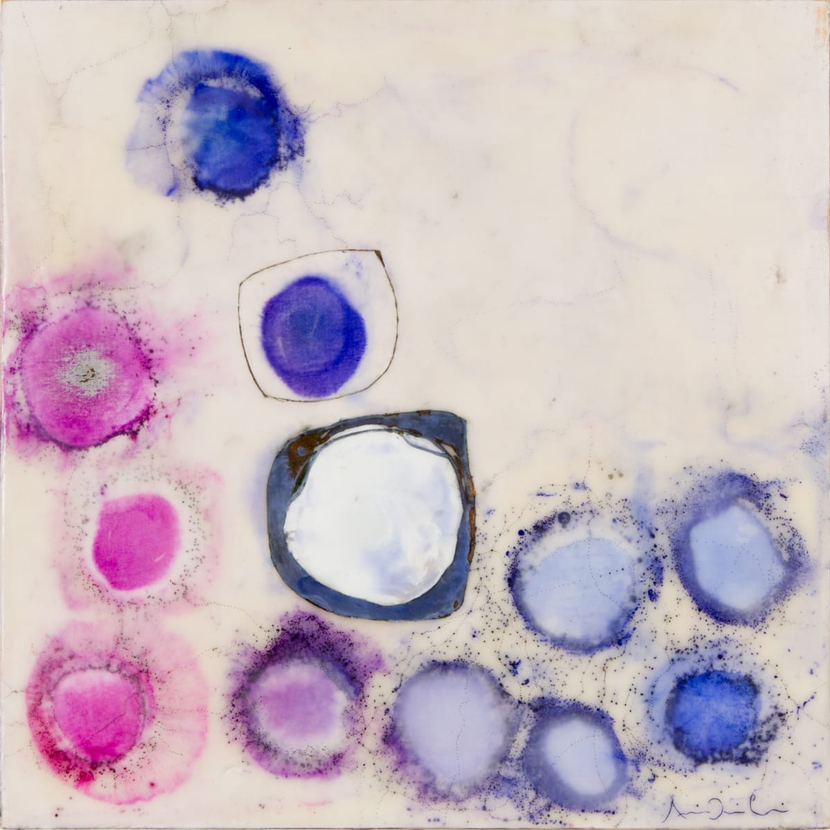 Veil by Andreina Davila 