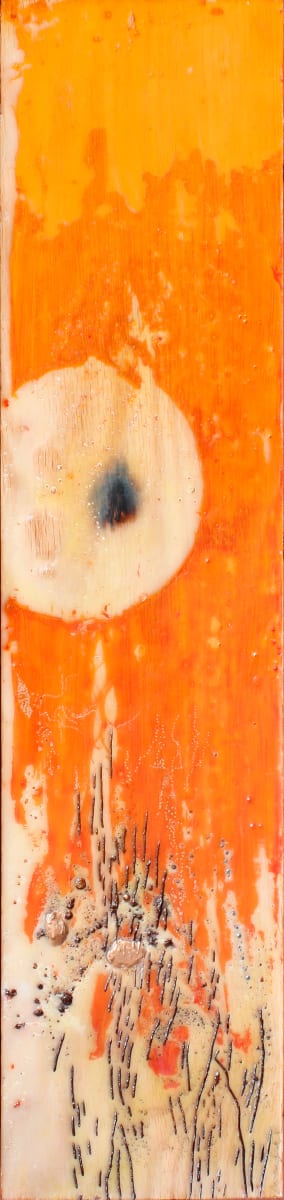 Disconnected Orange by Andreina Davila 