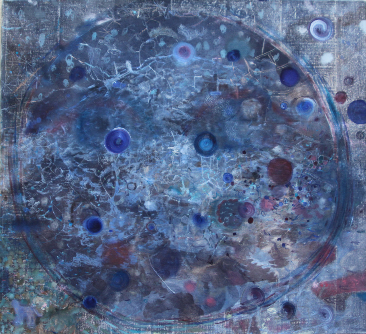 Midnight Blue Cosmos by Andrea McLean 