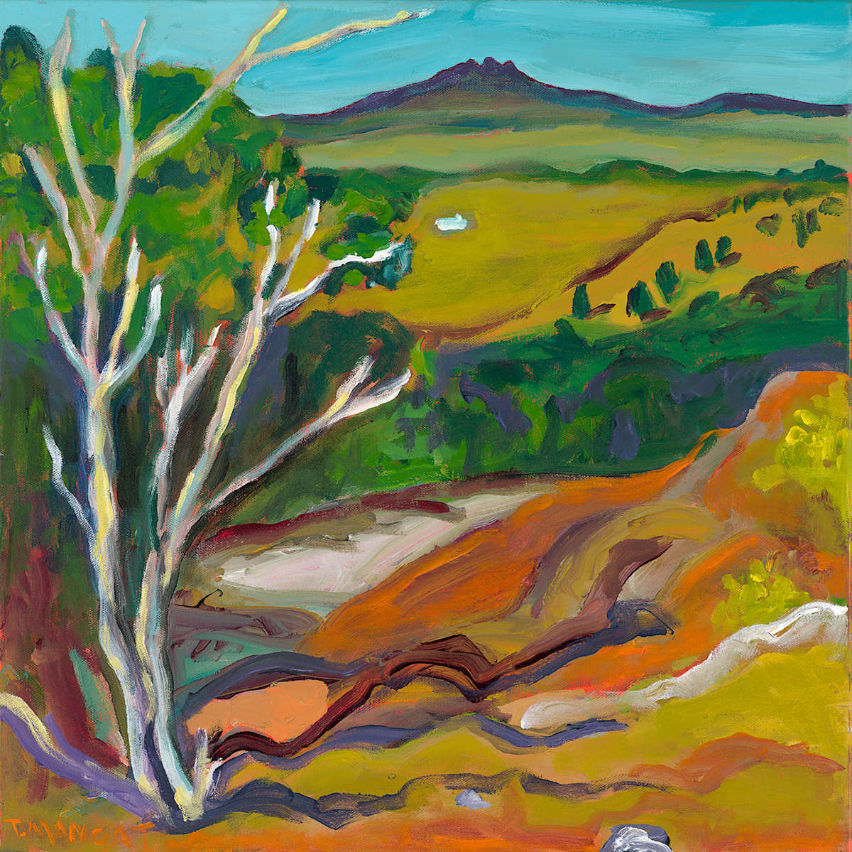 Lauryn's View by Terrie Hancock Mangat, Image 1.