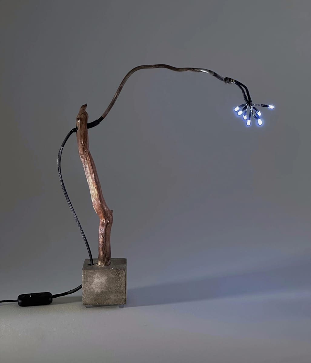 Tree of Light by Brian Caiazza, Image 2.