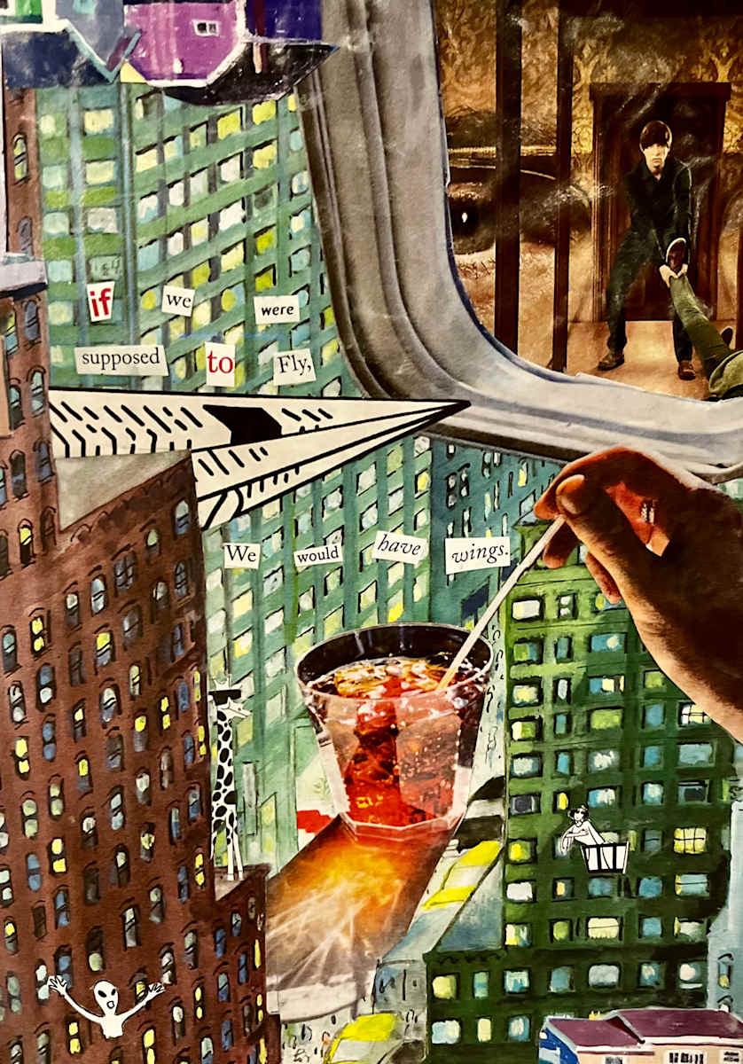 We Would Have Wings by Adyson McCullough 