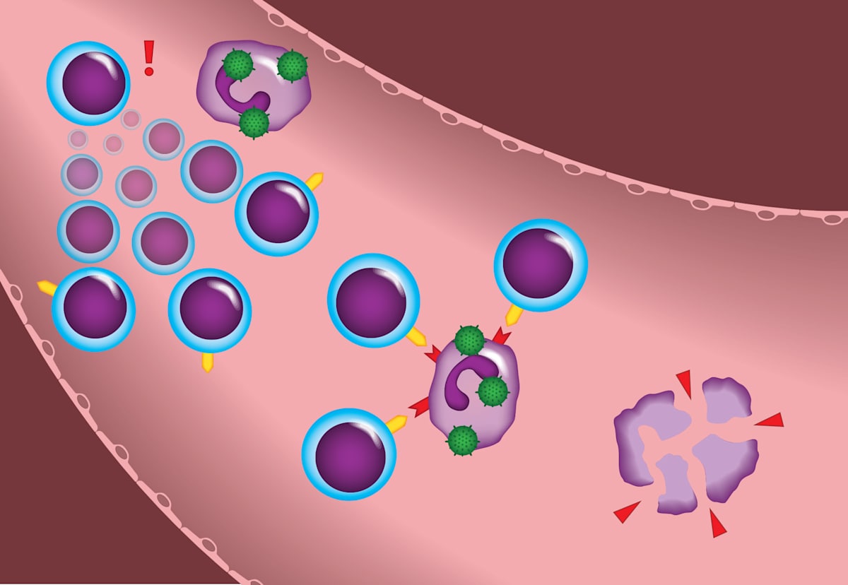 T-Cells Editorial by Adyson McCullough 