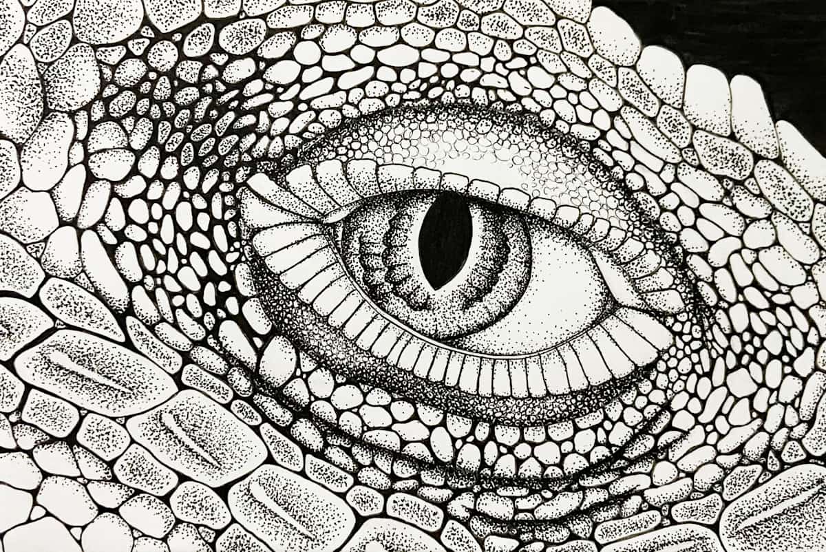 Lizard Eye by Adyson McCullough 