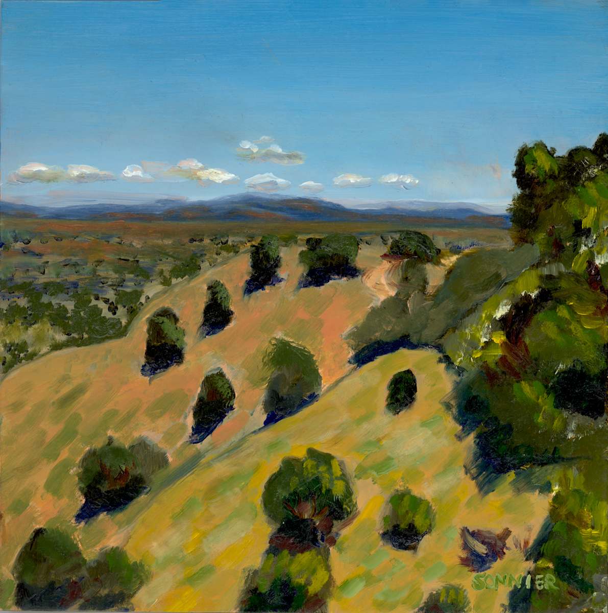 Overlook by Lori Sonnier, Image 1.