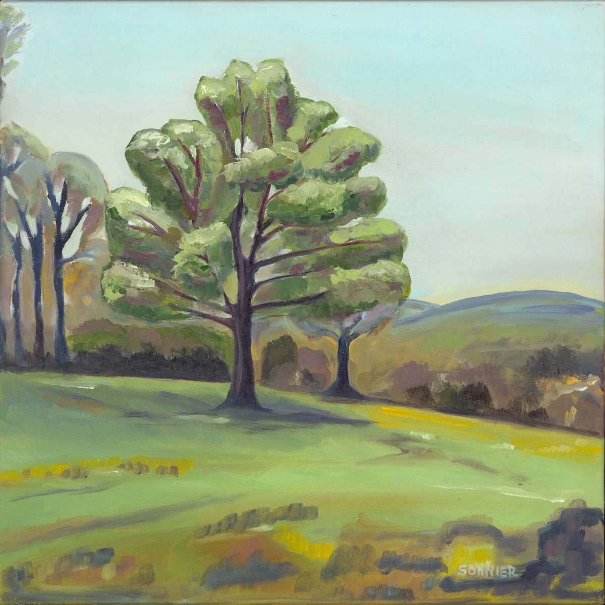 Spring in Charlottesville by Lori Sonnier, Image 1.