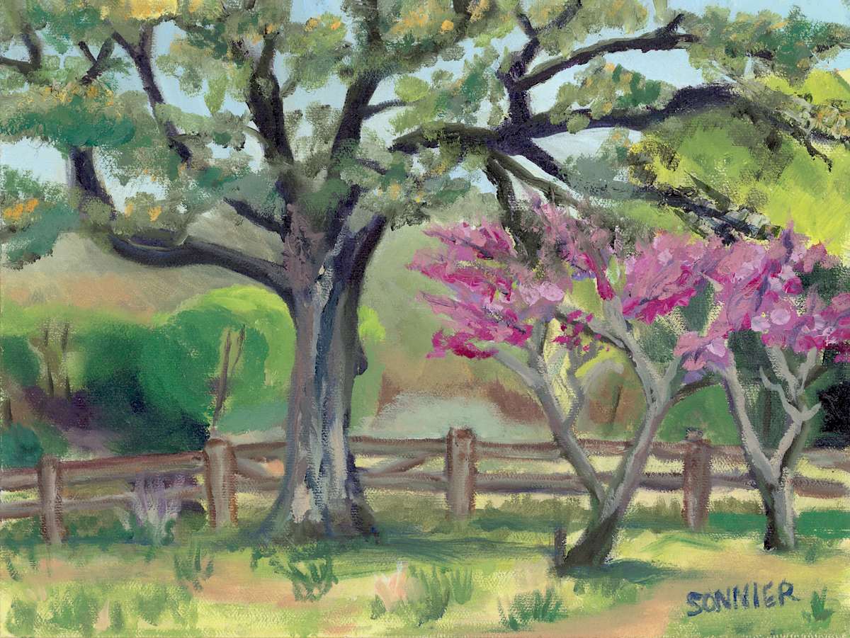 Stagecoach Park by Lori Sonnier, Image 1.