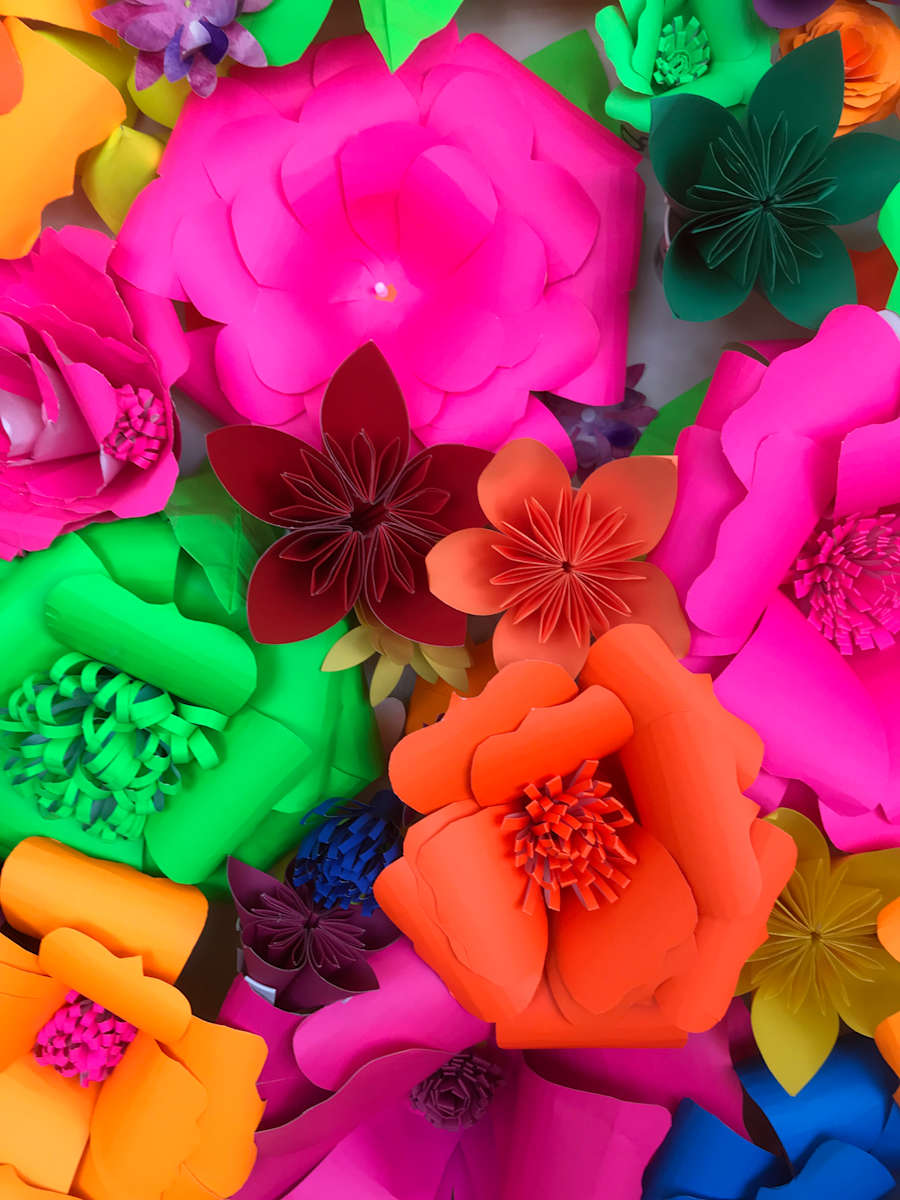 Social Pollination by Dennis A. Dizon 