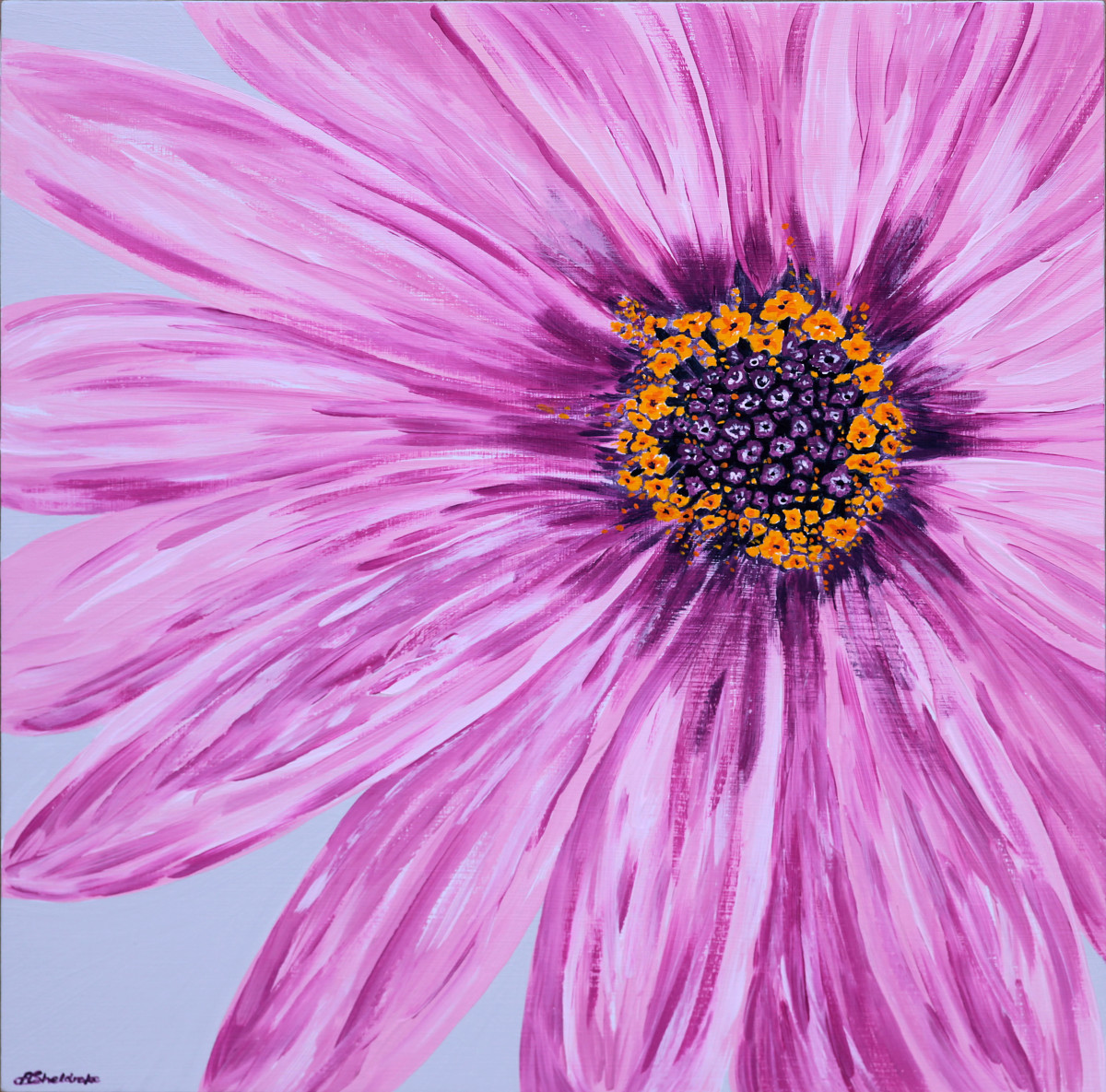 Amy by Alyson Sheldrake 