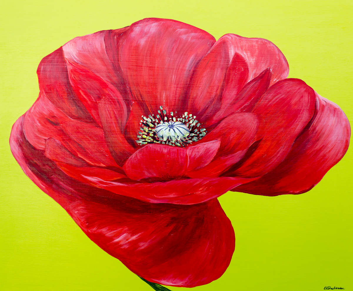 Beatriz by Alyson Sheldrake, Image 2.