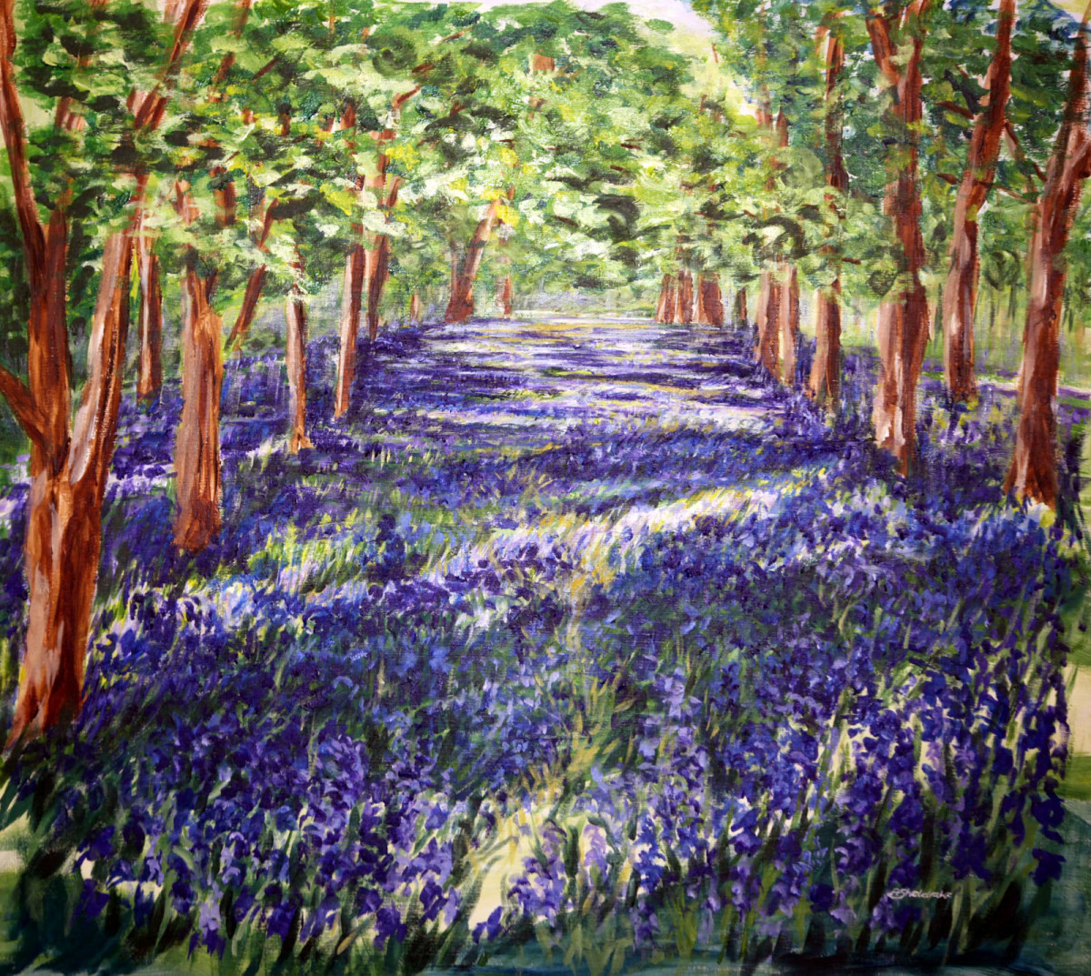 Bluebell Path by Alyson Sheldrake 