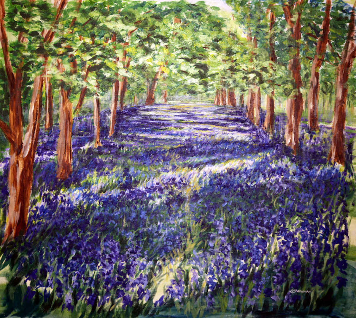 Bluebell Path by Alyson Sheldrake, Image 1.