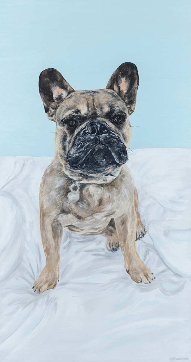 Dozer by Alyson Sheldrake, Image 1.