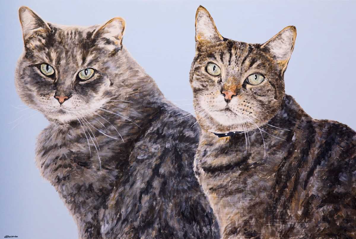 Charlie & Forrest by Alyson Sheldrake, Image 3.