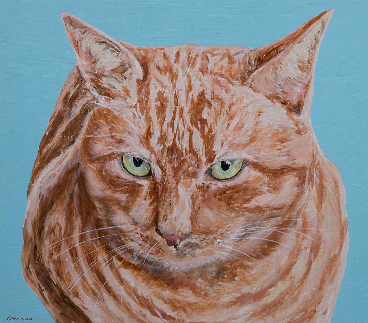 Chico by Alyson Sheldrake, Image 1.