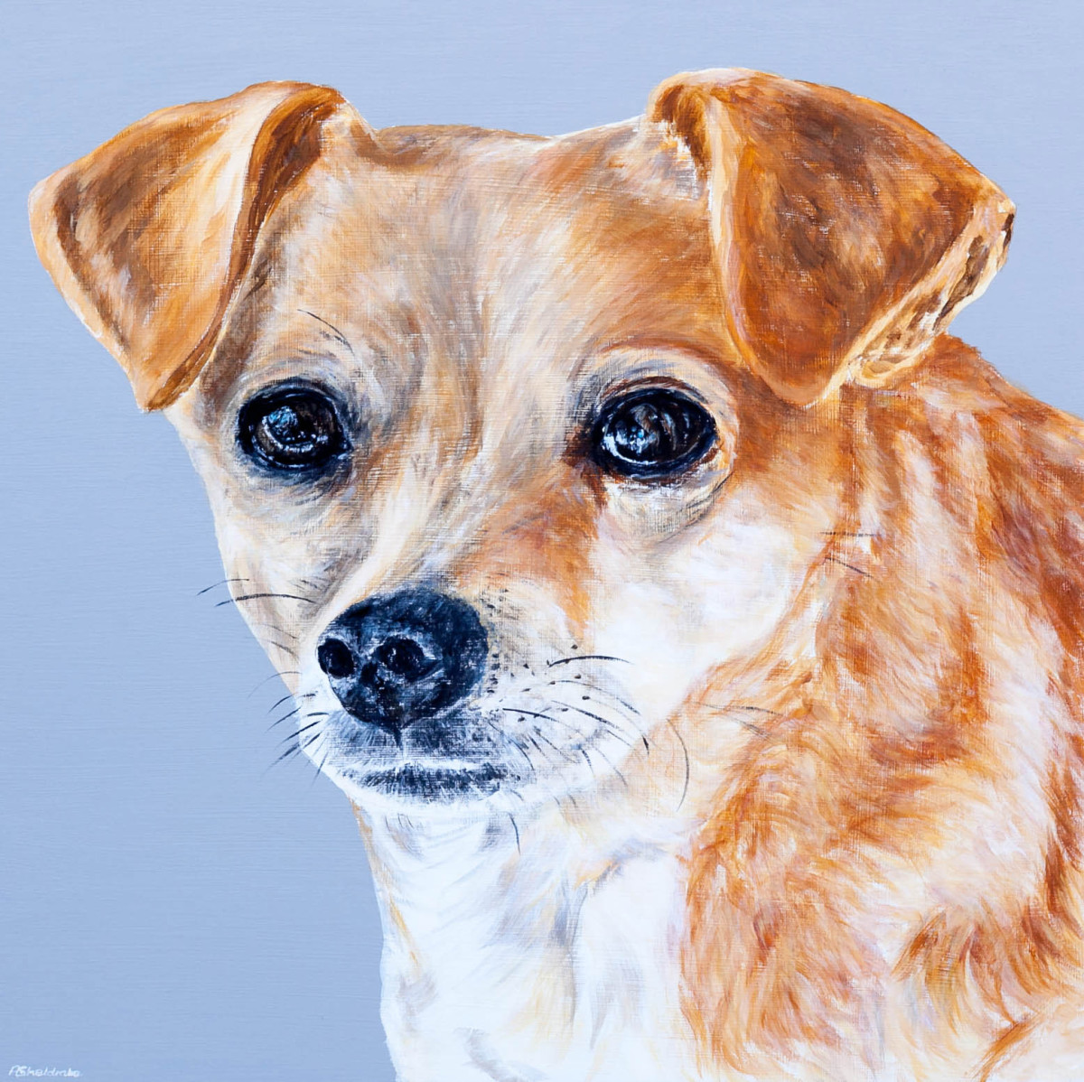 Daisy Dog by Alyson Sheldrake 