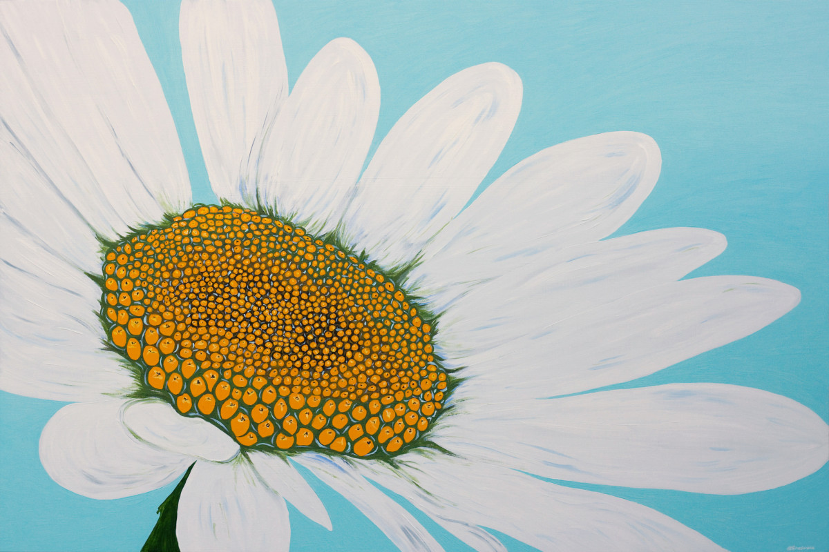 Daydream by Alyson Sheldrake 